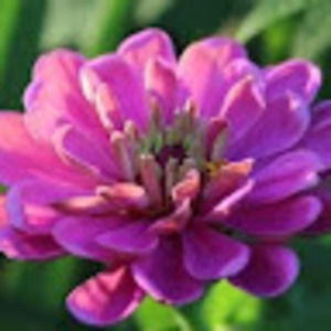 Meet your Posher, Dana